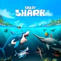 Crazy Shark