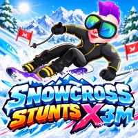 Snowcross Stunts X3M