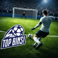 Top Bins!