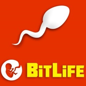 Play Bitlife on Baseball 9