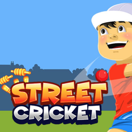 Street Cricket